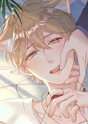 小若猫猫 小若猫猫